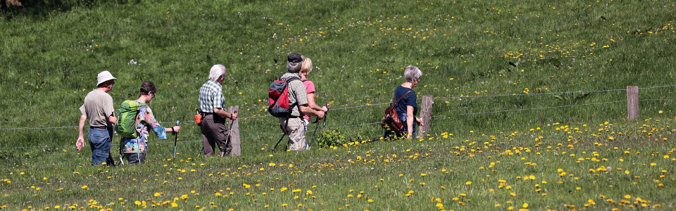 Commune de Ham-sur-Heure-Nalinnes | Balade dans la réserve de Jamioulx