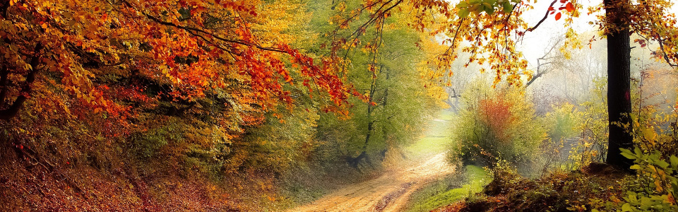 Commune de Ham-sur-Heure-Nalinnes | Enquête publique relative à l’avant-projet d'arrêté du Gouvernement wallon du 5 juillet 2018