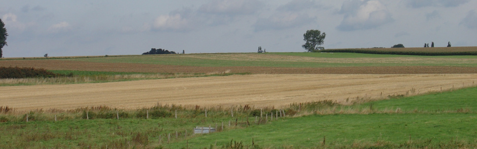 Commune de Ham-sur-Heure-Nalinnes | APPEL PUBLIC - Constitution de la commission communale de constat de dégâts aux cultures